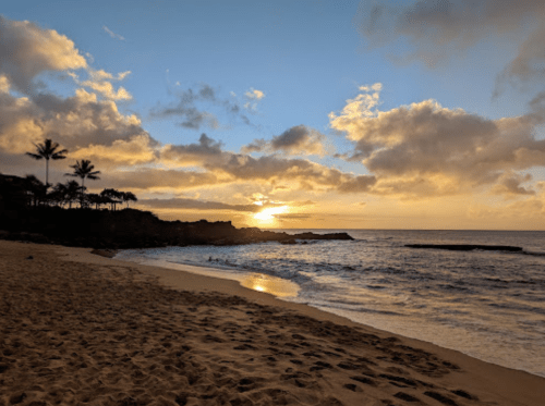 A serene beach at sunset, with golden hues reflecting on the water and palm trees silhouetted against the sky.