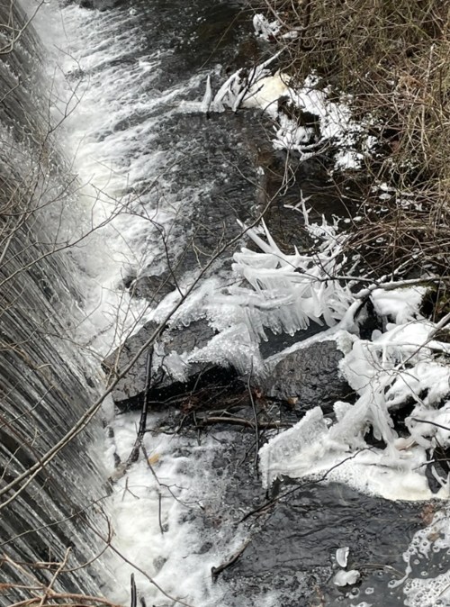 A frozen waterfall cascades over rocks, surrounded by icy branches and frothy water below.