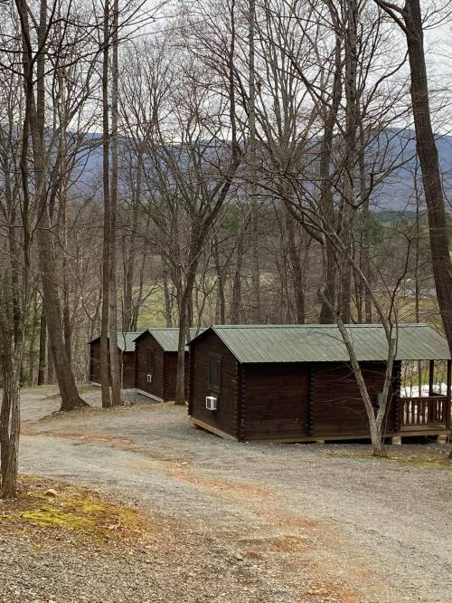 Two rustic cabins nestled among bare trees, with a gravel path leading through a serene, wooded landscape.