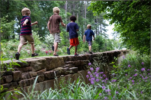 Four children walking along a stone wall in a lush, green garden, surrounded by flowers and trees.