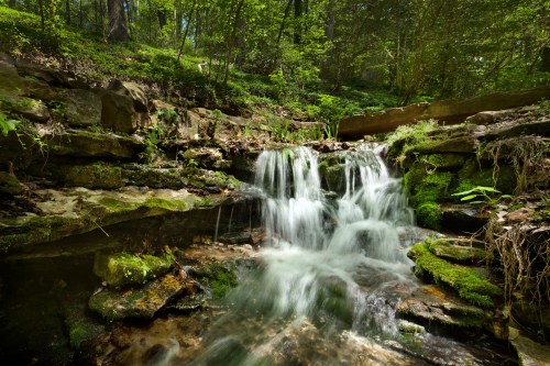 A serene waterfall cascades over moss-covered rocks in a lush, green forest. Sunlight filters through the trees.