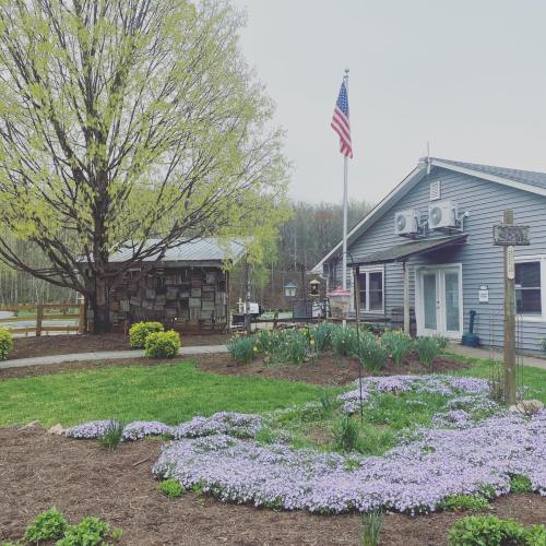 A gray building with an American flag, surrounded by green grass and purple flowers, under a cloudy sky.