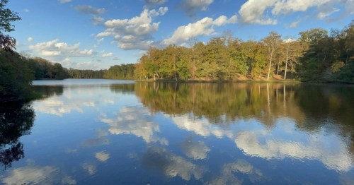 A serene lake reflecting blue skies and fluffy clouds, surrounded by trees in autumn colors.