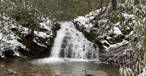 A snowy waterfall cascading into a serene stream, surrounded by lush greenery and winter scenery.