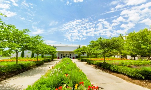 A bright, sunny day at a landscaped building entrance, featuring trees and colorful flower beds along the pathway.