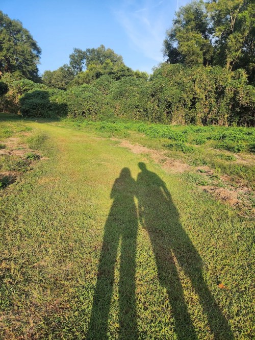 Two shadows of a couple holding hands on a grassy path surrounded by lush greenery under a clear blue sky.