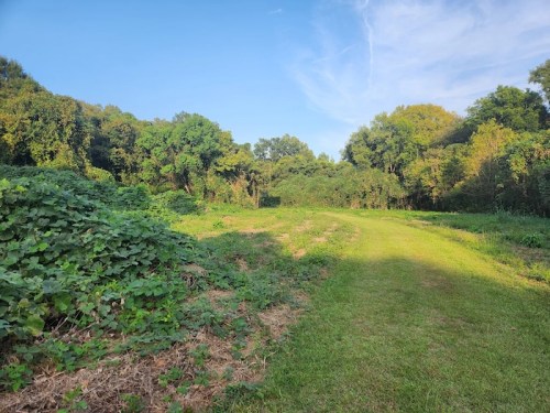A grassy path leads through lush greenery and trees under a clear blue sky.