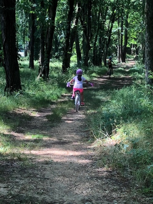 A child rides a bicycle on a dirt path through a lush green forest, with another cyclist in the background.