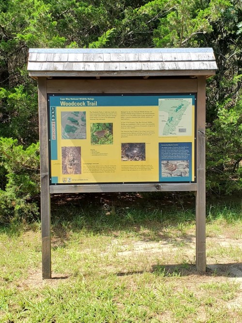 Information sign for Woodcock Trail, featuring maps and details about the trail and surrounding nature.