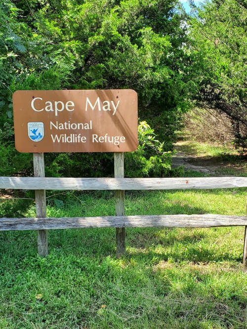 Sign for Cape May National Wildlife Refuge with a path leading into a green, wooded area.