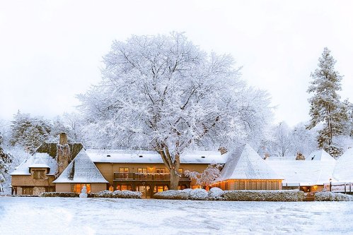 A snowy landscape featuring a cozy, modern house surrounded by frosted trees and a serene winter atmosphere.