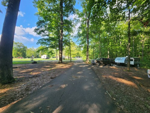 A paved path through a wooded area, with parked vehicles and a grassy field in the background under a clear blue sky.