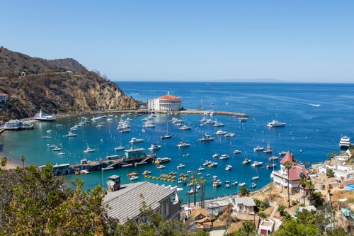 A scenic view of a harbor with boats, surrounded by hills and buildings, under a clear blue sky.