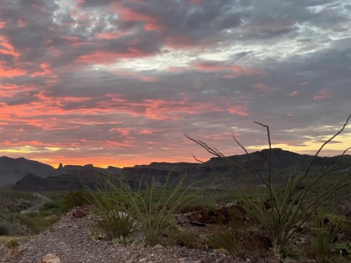 A vibrant sunset paints the sky with pink and orange hues over a desert landscape with silhouetted mountains and plants.
