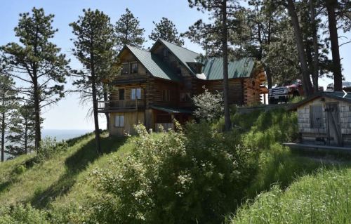 A large log cabin with a green roof, surrounded by trees and lush greenery on a hillside.