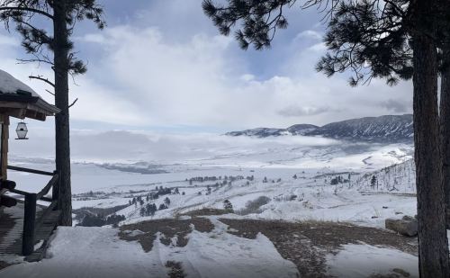 A snowy landscape with mountains in the distance, framed by pine trees and a wooden structure in the foreground.