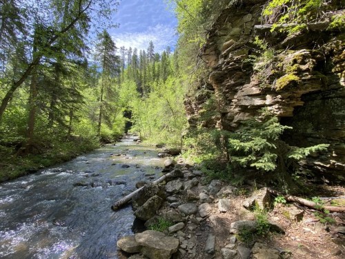 A serene river flows beside a rocky cliff, surrounded by lush green trees and a bright blue sky.