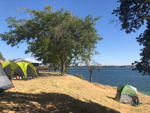 A serene lakeside campsite with green tents, trees, and clear blue skies reflecting on the water.