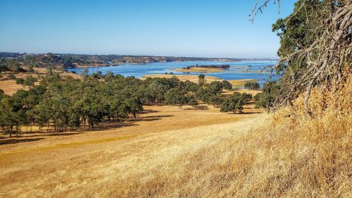 A scenic view of a lake surrounded by golden fields and green trees under a clear blue sky.