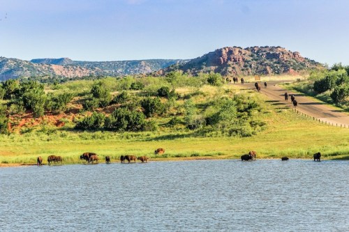 A scenic landscape featuring a lake, green hills, and a herd of buffalo grazing near the water's edge.