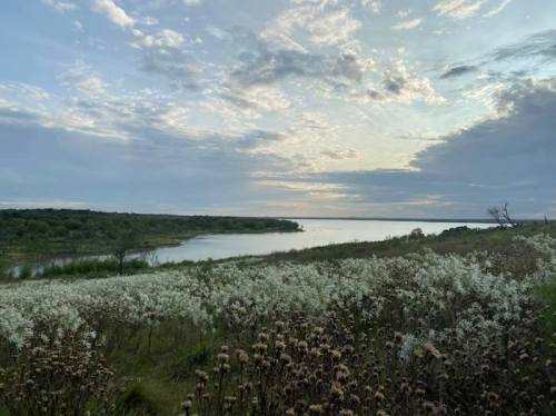 A serene landscape featuring a river surrounded by lush greenery and wildflowers under a cloudy sky at dusk.