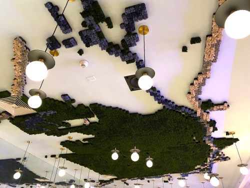 Ceiling decorated with green moss and textured materials, resembling a map, with round pendant lights hanging below.