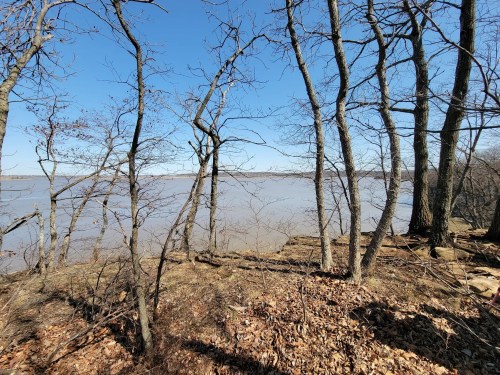 A serene river view framed by bare trees and fallen leaves under a clear blue sky.