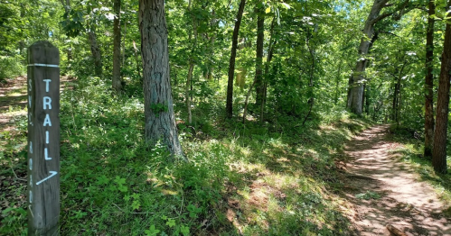 A wooded trail with a sign pointing left, surrounded by lush greenery and trees.