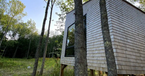 A modern wooden cabin nestled among tall trees in a lush green forest.
