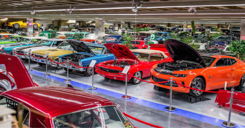 A vibrant display of classic cars in a museum, showcasing various models with hoods open and colorful exteriors.