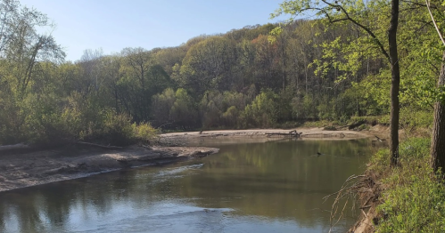 A serene river flows through a lush green landscape, surrounded by trees and gentle hills under a clear blue sky.