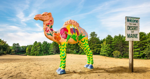 A colorful, painted camel statue stands in a sandy area with a sign reading "Welcome to the Desert of Maine" nearby.