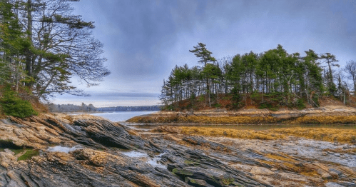 A rocky shoreline with trees and a small island under a cloudy sky, reflecting a serene coastal landscape.