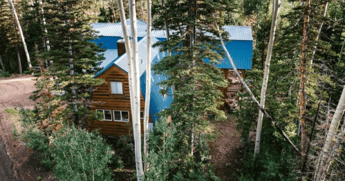 Aerial view of a rustic cabin with a blue roof, surrounded by tall trees in a forested area.