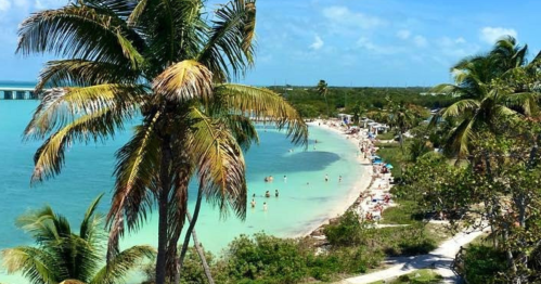 A scenic beach with clear turquoise water, palm trees, and people enjoying the sun along the shore.