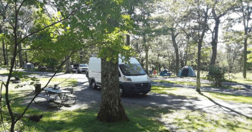 A campsite scene with a white van, picnic table, and tents surrounded by trees and sunlight.