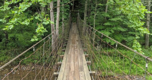 A wooden suspension bridge stretches through a lush green forest, surrounded by trees and a small creek below.