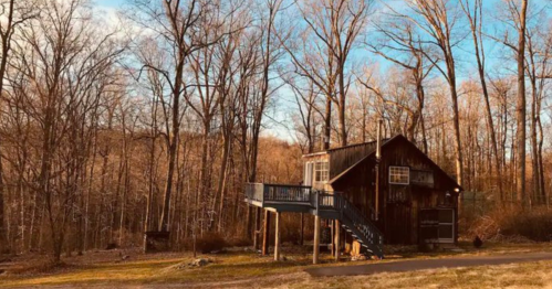 A rustic wooden cabin on stilts surrounded by bare trees in a serene forest setting.