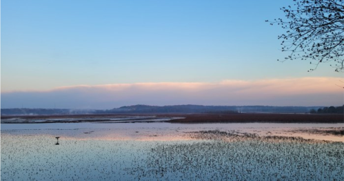 A serene landscape of a calm water body reflecting a pastel sky at dusk, with distant hills in the background.