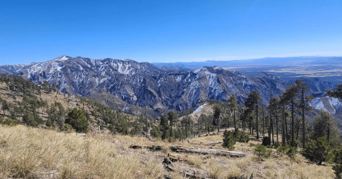 A panoramic view of rugged mountains and valleys under a clear blue sky, with scattered trees in the foreground.