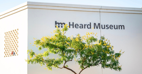 Exterior of the Heard Museum building with a tree in front and the museum's name displayed on the wall.