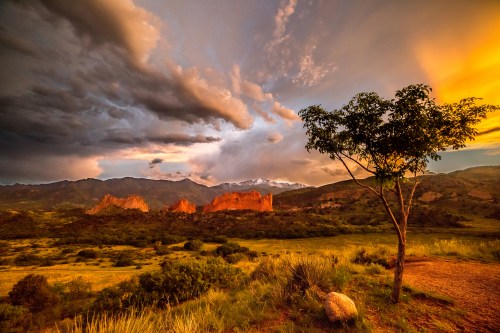 A scenic landscape featuring red rock formations, a tree, and dramatic clouds at sunset.