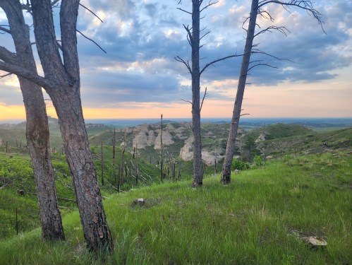 A scenic view of rolling hills and a sunset, framed by tall trees and a grassy foreground.