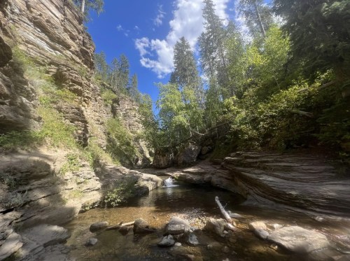 A serene canyon with rocky walls, a clear stream, and lush green trees under a bright blue sky with scattered clouds.