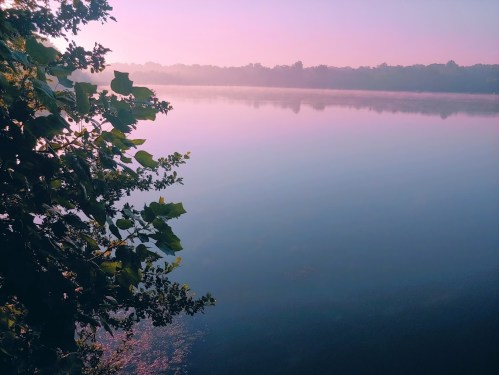 A serene lake at dawn, surrounded by trees, with soft pink and purple hues reflecting on the water's surface.