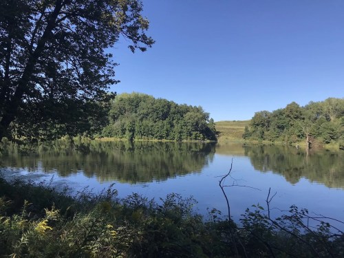 A serene lake surrounded by lush greenery and trees, reflecting the clear blue sky above.