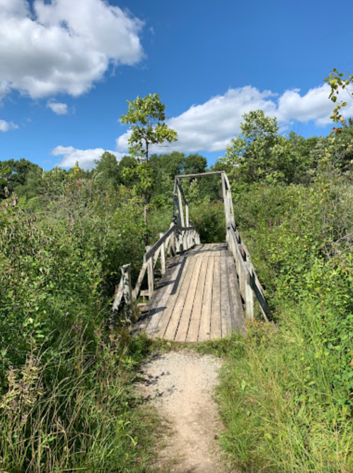 A wooden bridge spans a path through lush greenery under a blue sky with fluffy clouds.