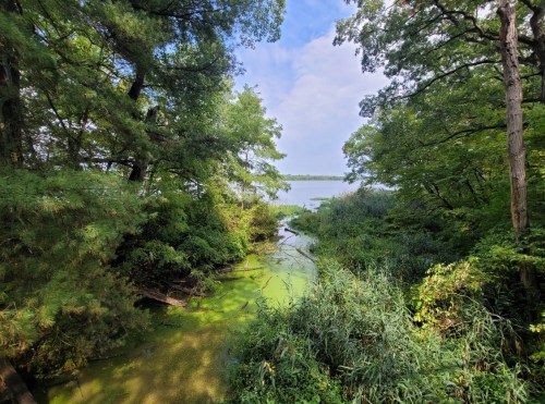 Lush green landscape with a calm waterway, surrounded by trees and vegetation under a partly cloudy sky.