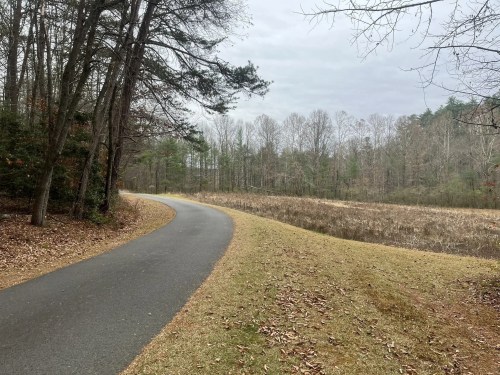 A winding path through a wooded area, with bare trees and a grassy edge beside a marshy field under a cloudy sky.