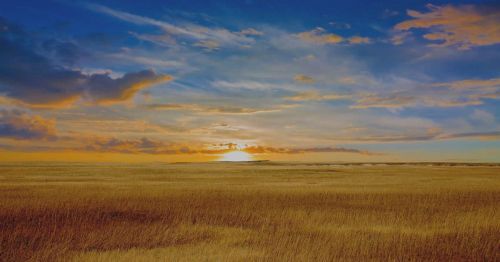 A serene landscape featuring a golden field under a vibrant sunset with colorful clouds in the sky.